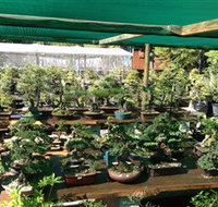 Bonsai at the Bay - Accommodation Gladstone