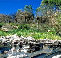Abrahams Bosom Reserve - Accommodation Gladstone