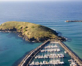 Muttonbird Island Nature Reserve - Accommodation Gladstone 0