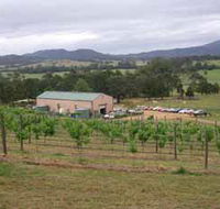Villa d Esta Vineyard - Accommodation Gladstone