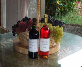 Villa D Esta Vineyard - Accommodation Gladstone 2