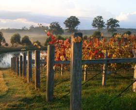 Roses Vineyard At Innes View - Accommodation Gladstone 2