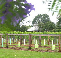 Douglas Vale Historic Homestead  Vineyard - Accommodation Gladstone