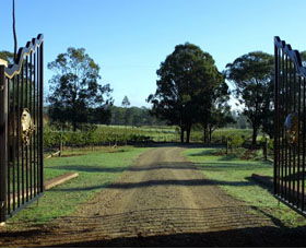 Moorebank Private Vineyard - Accommodation Gladstone 3