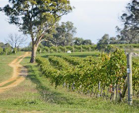 Shaw Vineyard Estate - Accommodation Gladstone 1
