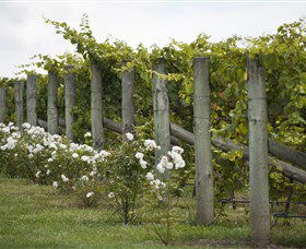 Lambert Vineyards Cellar Door - Accommodation Gladstone 2