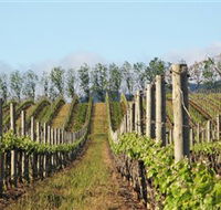 Philip Shaw Wines - Accommodation Gladstone