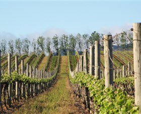 Philip Shaw Wines - Accommodation Gladstone 0
