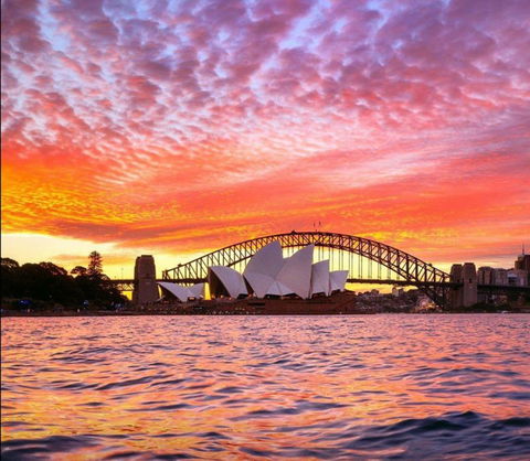 Bikebuffs - Sydney Bicycle Tours - Accommodation Gladstone 2