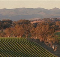 Angullong Wines - Accommodation Gladstone