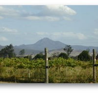 Ironbark Ridge Vineyard - Accommodation Gladstone