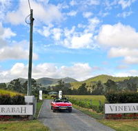 Sarabah Estate Vineyard - Accommodation Gladstone