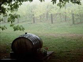 Arranmore Wines - Accommodation Gladstone 2