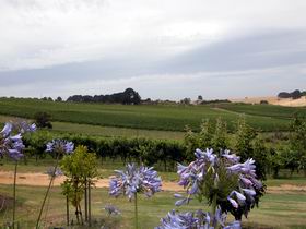 Mount Jagged Wines - Accommodation Gladstone 1