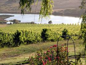 Mount Jagged Wines - Accommodation Gladstone 2