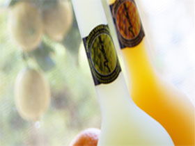 Ambra Limoncello - Accommodation Gladstone 0