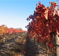 Kooyonga Creek Wines - Accommodation Gladstone