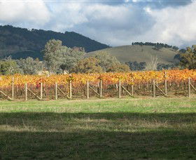 Kooyonga Creek Wines - Accommodation Gladstone 4