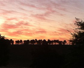 Kooyonga Creek Wines - Accommodation Gladstone 2