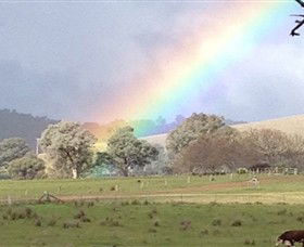 Kooyonga Creek Wines - Accommodation Gladstone 5