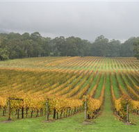 Boat O'Craigo Wines - Accommodation Gladstone