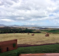 The Hazards Vineyard - Devil's Corner - Accommodation Gladstone