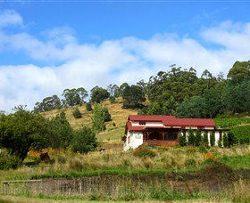 St Imre Vineyard - Accommodation Gladstone 0