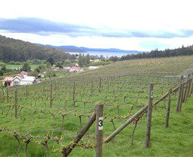 St Imre Vineyard - Accommodation Gladstone 1