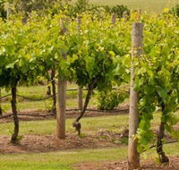 Mt Coghill Vineyard - Accommodation Gladstone