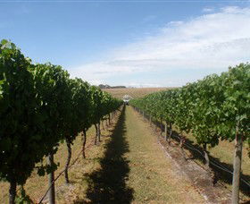 Cannibal Creek Vineyard - Accommodation Gladstone 1