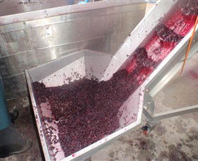 Cannibal Creek Vineyard - Accommodation Gladstone 6