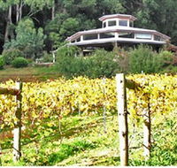 Peveril Vineyard/Beechy Berries - Accommodation Gladstone