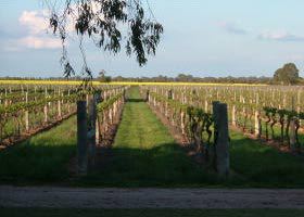 Yarraberb ACT Accommodation Gladstone