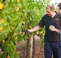 Fratin Brothers Vineyard - Accommodation Gladstone