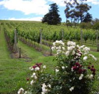 Pembroke Estate Vineyard - Accommodation Gladstone