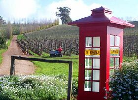 Dalrymple Vineyards - Accommodation Gladstone 0