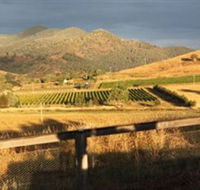 Optimiste Wines - Accommodation Gladstone