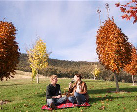 Gapsted Wines - Accommodation Gladstone 5