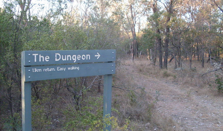 Ashford NSW Accommodation Gladstone
