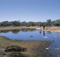 Camel Soak - Accommodation Gladstone