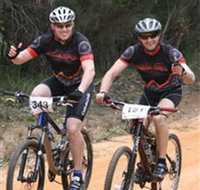 Trailhead Bike Co. - Accommodation Gladstone