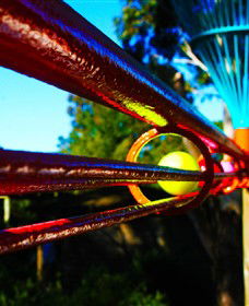 Bellarine Adventure Golf - Accommodation Gladstone 6