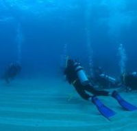 Man and Wife Rocks Dive Site - Accommodation Gladstone