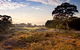 Kingston Heath Golf Club - thumb 1