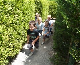 Hedgend Maze And Healesville Laser Sport - Accommodation Gladstone 1