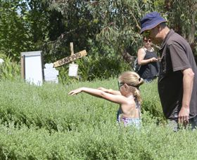 Hedgend Maze And Healesville Laser Sport - Accommodation Gladstone 2