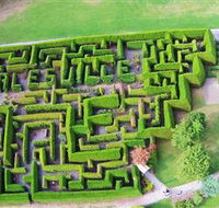 Hedgend Maze and Healesville Laser Sport - Accommodation Gladstone