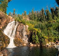 Steavenson Falls Marysville - Accommodation Gladstone