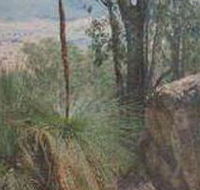 Mount Lawson State Park - Accommodation Gladstone