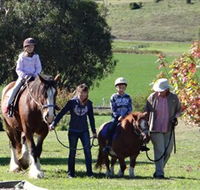 Bathurst Farm Experience - Accommodation Gladstone